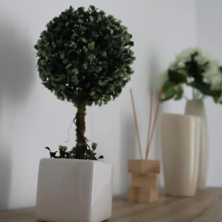 Arco's 1 蓬塔德尔加达