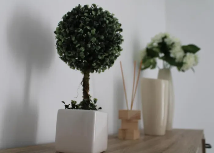 Arco's 1 Ponta Delgada (Sao Miguel)